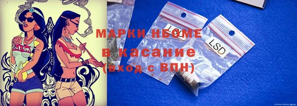 крисы Верея