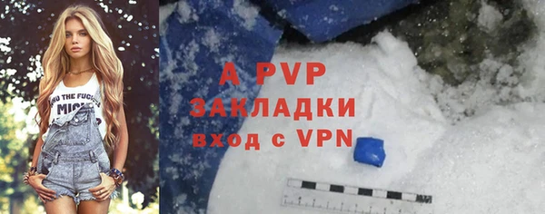 apvp Володарск