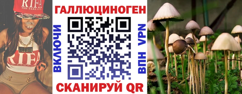 MEGA ссылки  Новоузенск  Псилоцибиновые грибы Psilocybe 