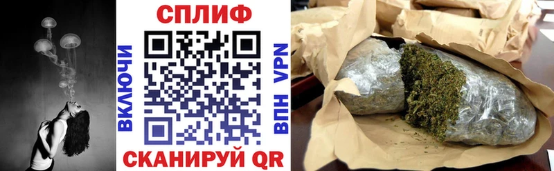 Бошки марихуана конопля Новоузенск